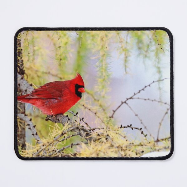 Item preview, Cardinal In The Larch designed and sold by Deb Oppermann.