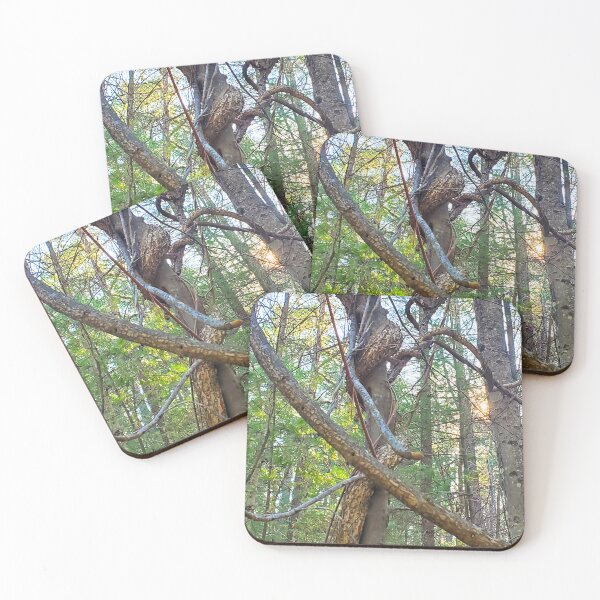 Item preview, Twisted Tree  designed and sold by etherealwonders.