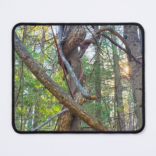 Item preview, Twisted Tree designed and sold by etherealwonders.
