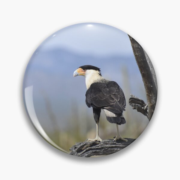 Item preview, Crested Caracara in Arizona designed and sold by Kathleen Brant.