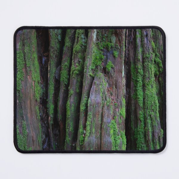 Item preview, Life in the Forest designed and sold by KMarshPhotos.