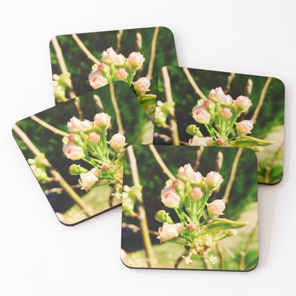 Item preview, flowers designed and sold by miranda0120.
