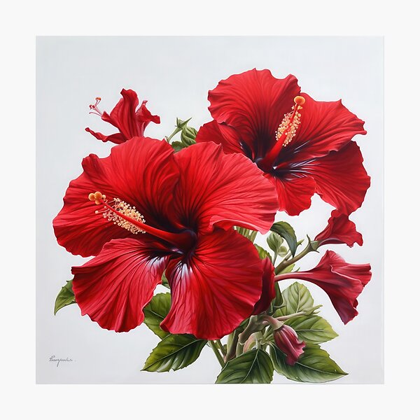 Item preview, Red Hibiscus  designed and sold by Vanover Designs.