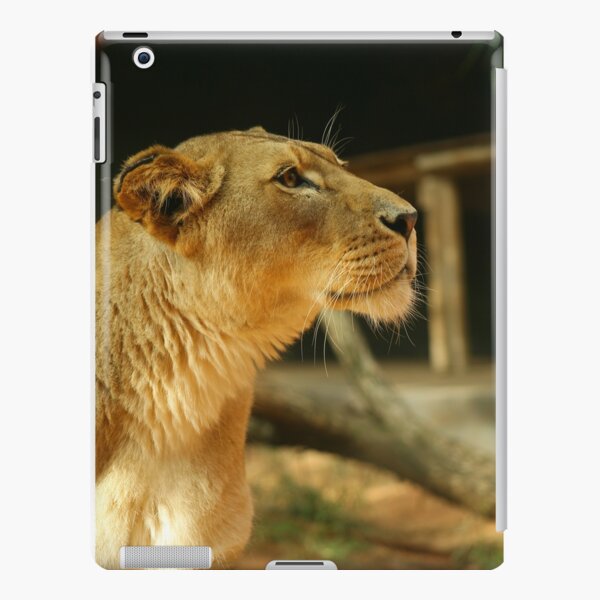 Lioness iPad Snap Case