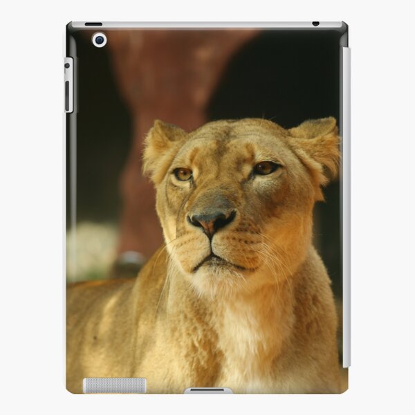 Lioness 2 iPad Snap Case