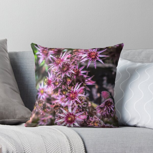 Item preview, SIZZLERS [Throw pillows] designed and sold by Matti Ollikainen.