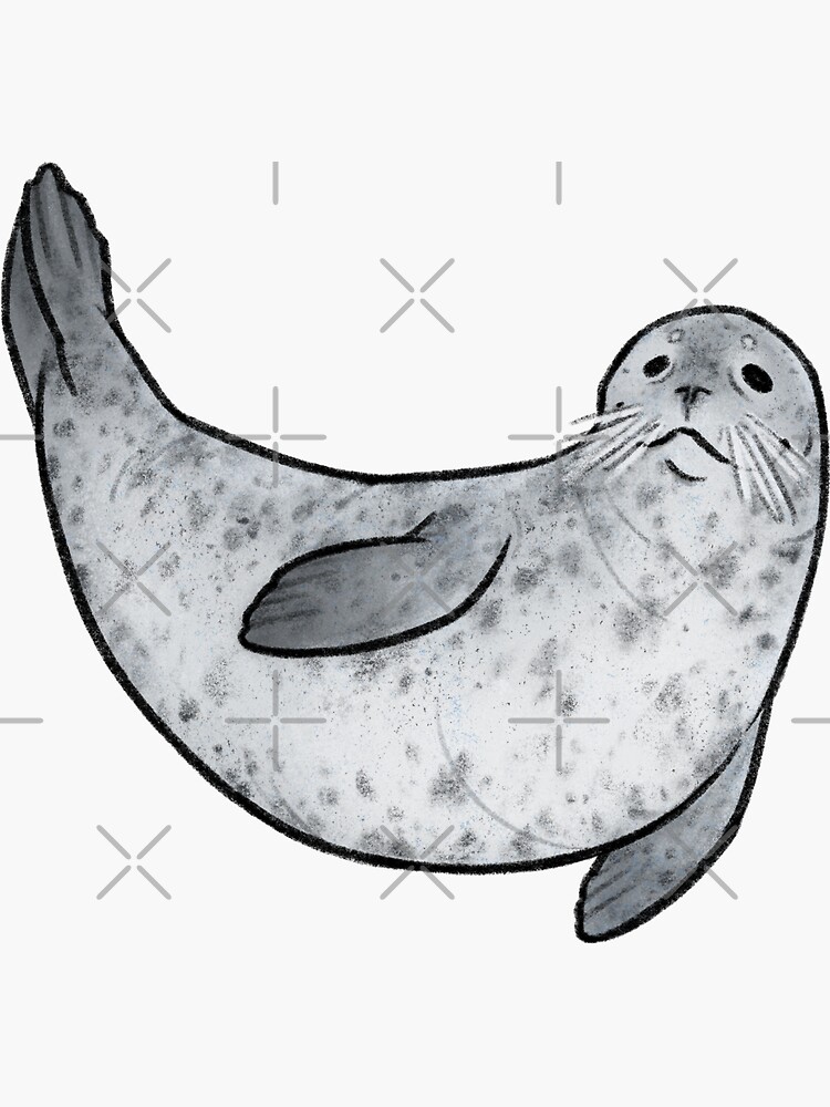 Thumbnail 3 of 3, Sticker, Little Harbour Seal designed and sold by StinaB.