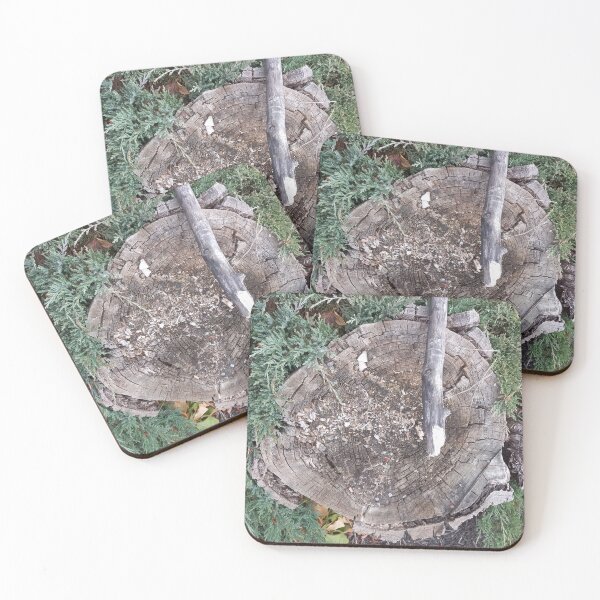 Item preview, Nature: Cut Tree Trunk with Branch designed and sold by TaraTs.