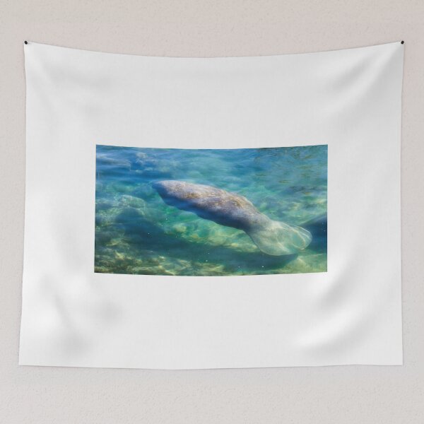 Item preview, Manatee designed and sold by Alla Gill.