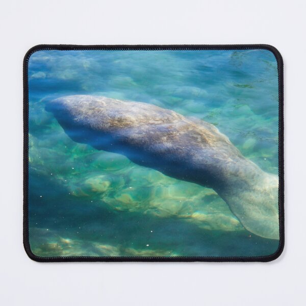 Item preview, Manatee designed and sold by Alla Gill.