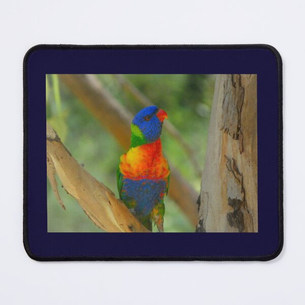Item preview, Rosella designed and sold by Harrison Lucas.