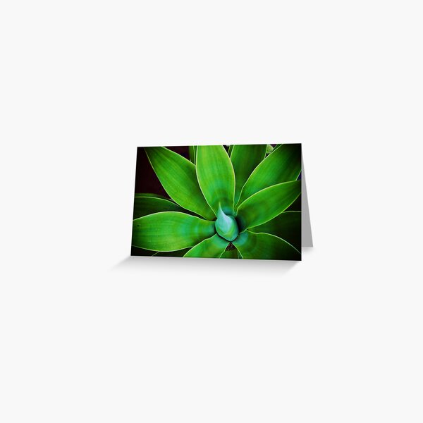 Agave Greeting Card