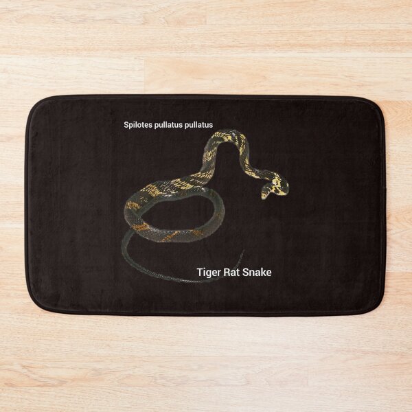 Item preview, Tiger Rat Snake Spilotes pullatus pullatus designed and sold by StrangeFetish.