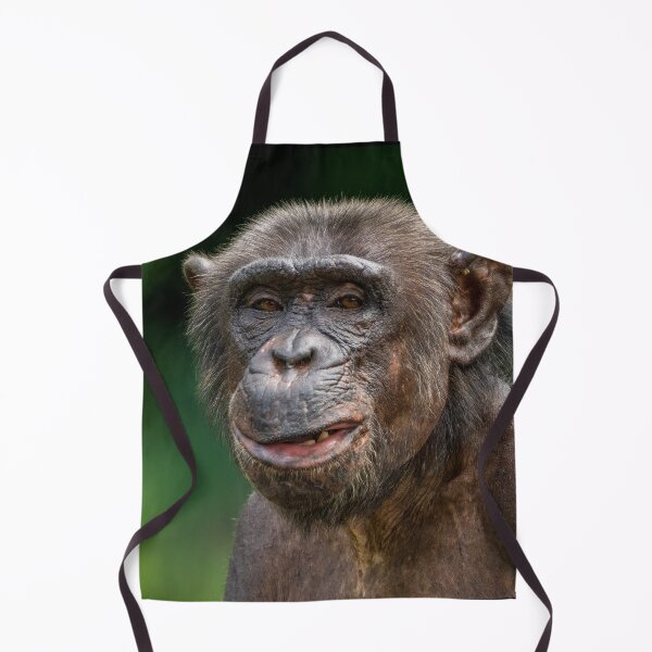 Item preview, You lookin' at me? designed and sold by TravellingFatmn.