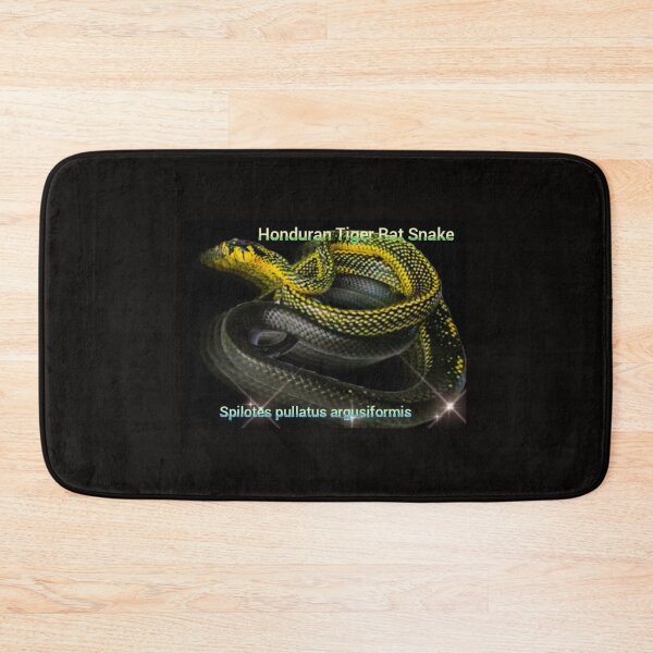 Item preview, Honduran Tiger Rat Snake Spilotes pullatus argusiformis  designed and sold by StrangeFetish.