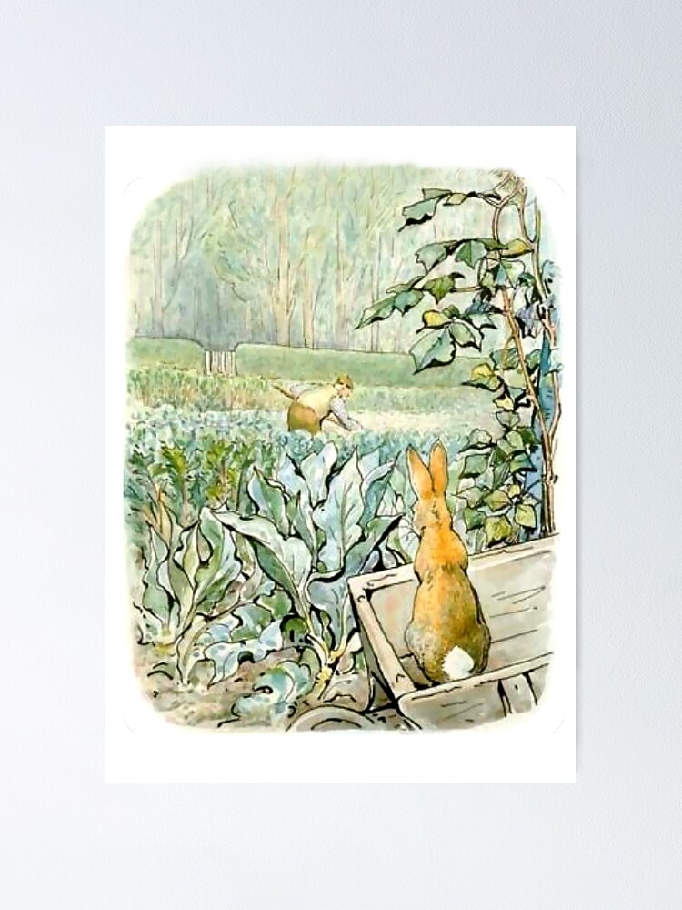 Beatrix Potter: Drawn to Nature: Bilclough, Annemarie, Fortey, Richard,  Glenn, Sarah, Laws, Emma, MacFarlane, Liz Hunter: 9780847871438:  Amazon.com: Books