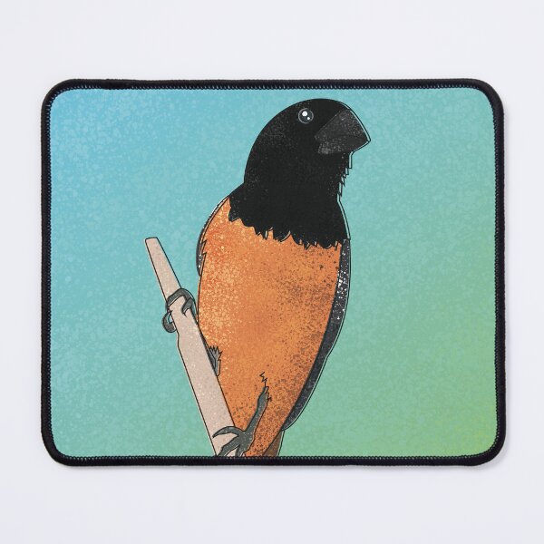 Item preview, Sporophila angolensis designed and sold by marivin.