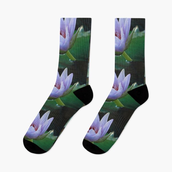 Item preview, Angela Tropical Water Lily designed and sold by Robert Armendariz.