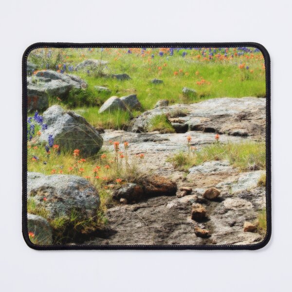Item preview, Rocks Indian Paintbrush and Bluebonnets designed and sold by Robert Armendariz.