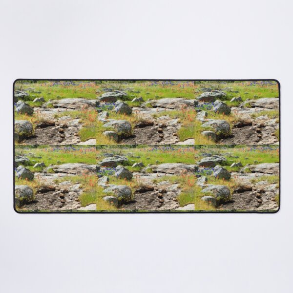Item preview, Rocks Indian Paintbrush and Bluebonnets  designed and sold by Robert Armendariz.