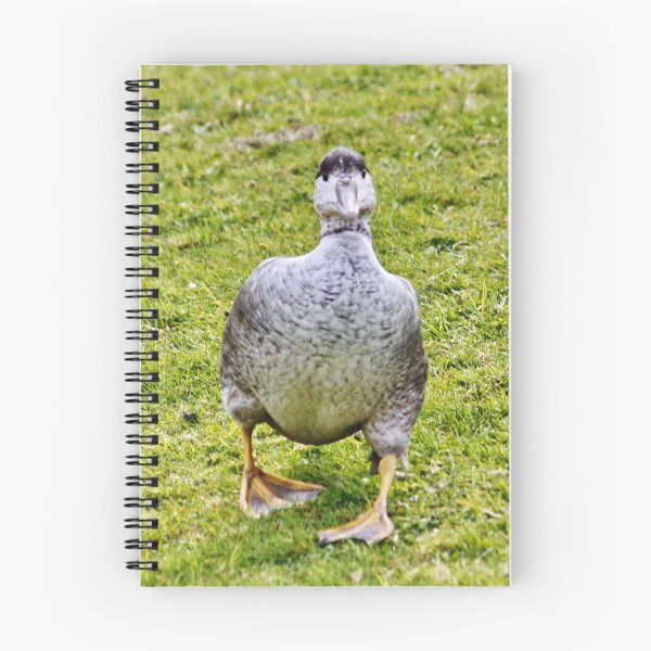 Item preview, Waddle Waddle designed and sold by AnnDixon.
