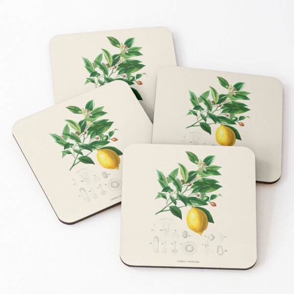 Item preview, Lemon Antique Botanical Illustration designed and sold by Antiquated Art.