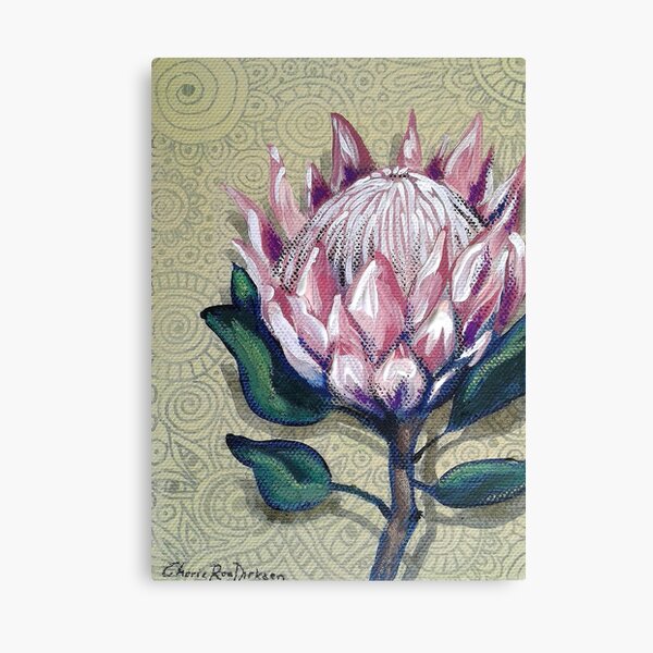 King Protea Canvas Print