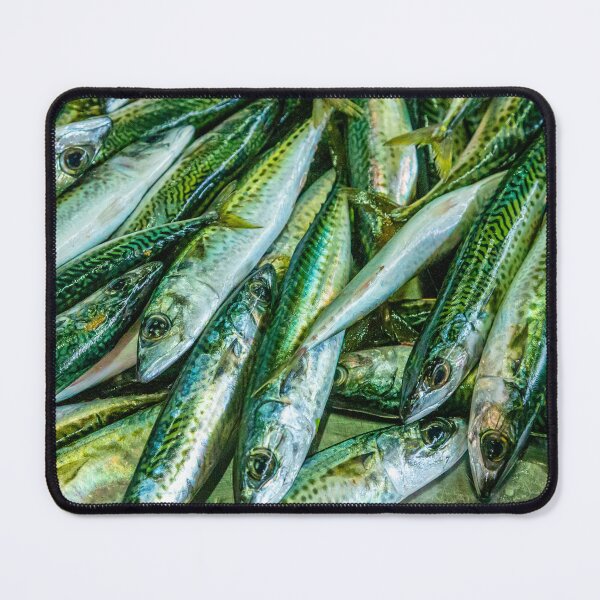 Item preview, Fresh Mackerel designed and sold by Dalyndigital Photography.