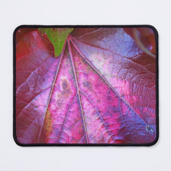 Item preview, Maple Leaf With Personality designed and sold by Joy Watson - Natural Light Photography .