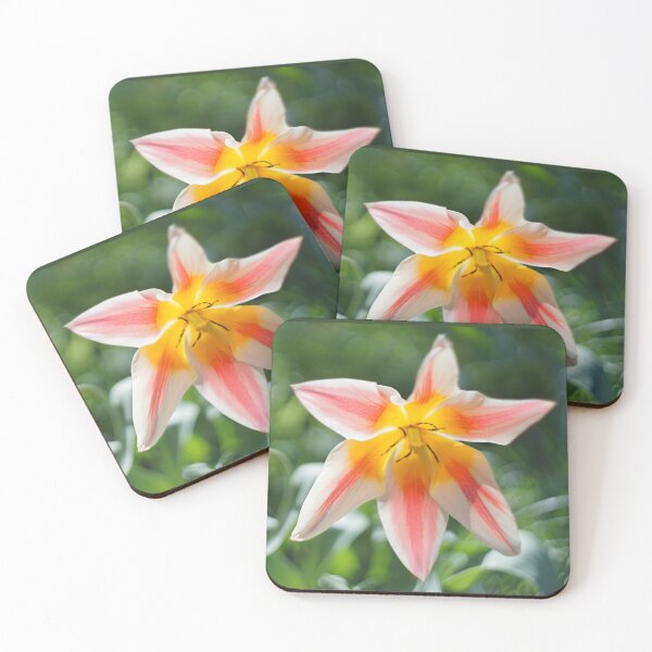 Item preview, Sunlit Tulips designed and sold by Alisonchambers2.