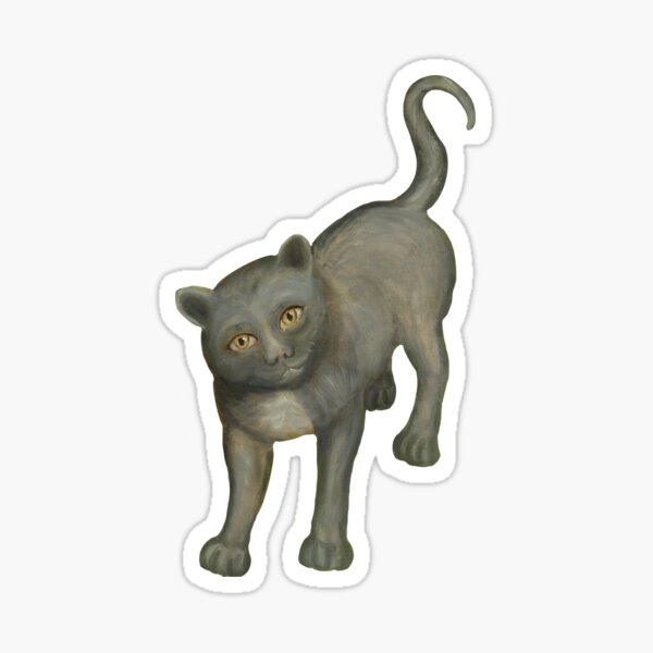 Scrungey Cat Sticker for Sale by fatfatpankocat in 2023