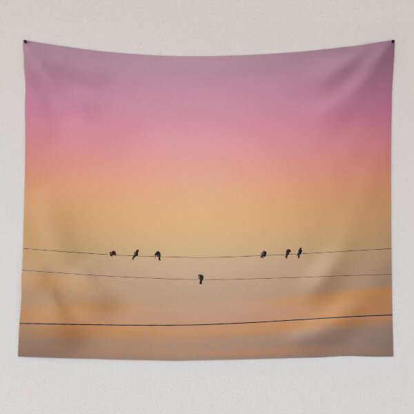 Item preview, Sunset Birds designed and sold by Jacquiamber.