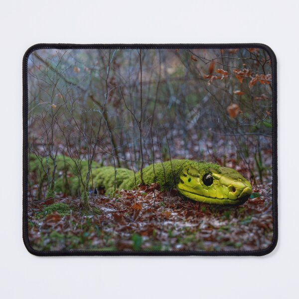 Item preview, Rare Forest Dwellers - The Moss Snake designed and sold by OskiOnTour.