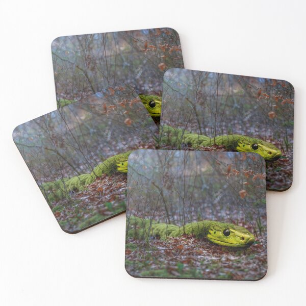 Item preview, Rare Forest Dwellers - The Moss Snake designed and sold by OskiOnTour.