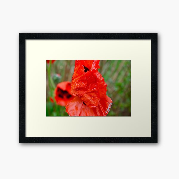Item preview, Wet Poppy 2 designed and sold by Carolyn Clark.