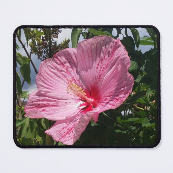 Item preview, Hawaiian Hibiscus  designed and sold by OnigiriSuiko.
