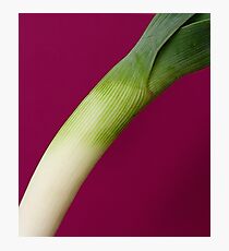 Leek Photographic Print