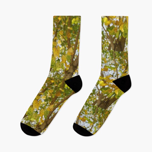 Item preview, Flowers tree tree Spain photography  designed and sold by Tropical Blood.