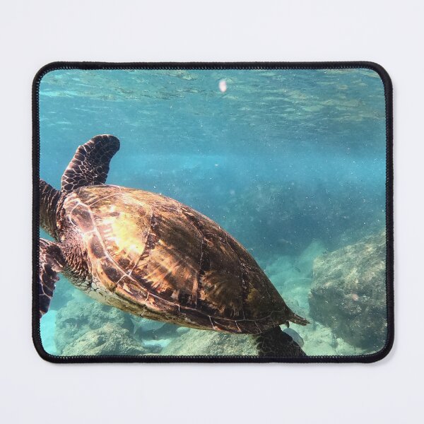 Item preview, Water Turtle designed and sold by joelle1724.