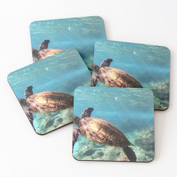 Item preview, Water Turtle designed and sold by joelle1724.