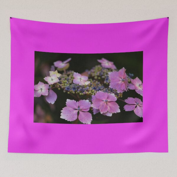 Item preview, Pink Flowers Mount Stewart Garden Beauty designed and sold by eddiebarronshop.