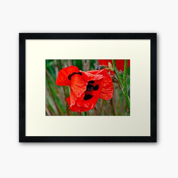 Item preview, Wet Poppy 3 designed and sold by Carolyn Clark.