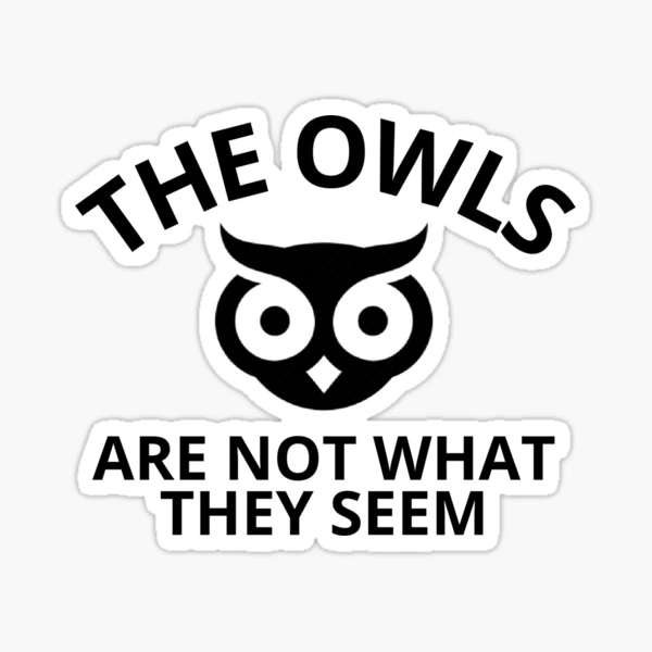 洋楽 V/Vm The Owls Are Not What They Seem The Owls Are Not What They Seem | V/Vm Wiki | Fandom