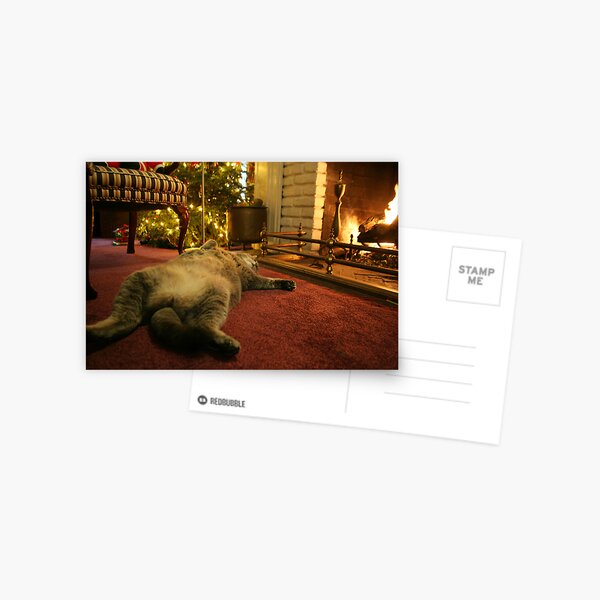 Comfort & Joy Postcard