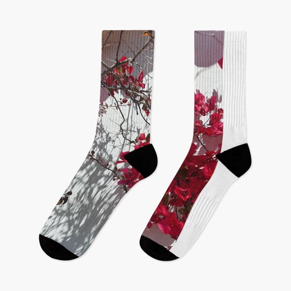 Item preview, Bougainvillea Plant San Diego Red designed and sold by Delicarte.