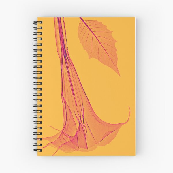 Item preview,  Flower in orange and pink, angel's trumpet designed and sold by Lanuma.