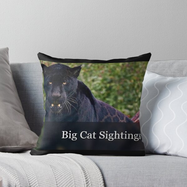 Item preview, Big Cat Sightings UK Logo designed and sold by neilbennett010.