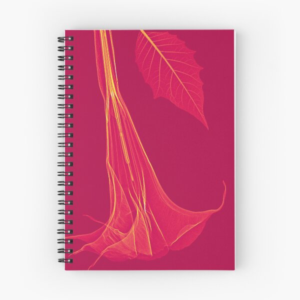Item preview, Flower in red and yellow, angel's trumpet designed and sold by Lanuma.