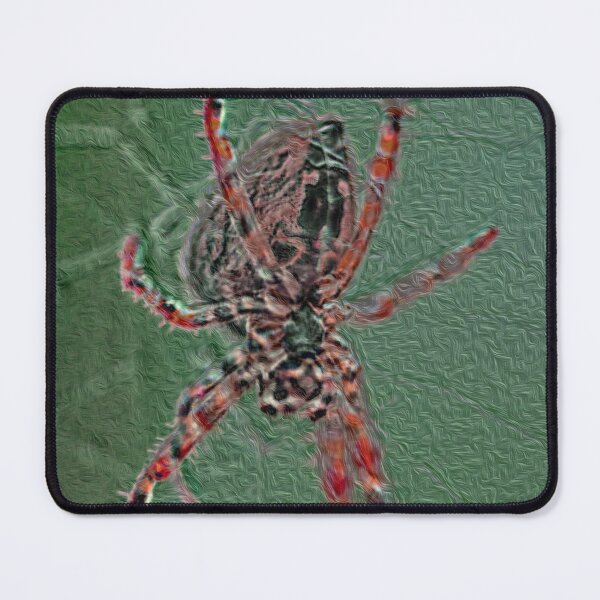 Item preview, Hanging Spiders designed and sold by Daizyner.