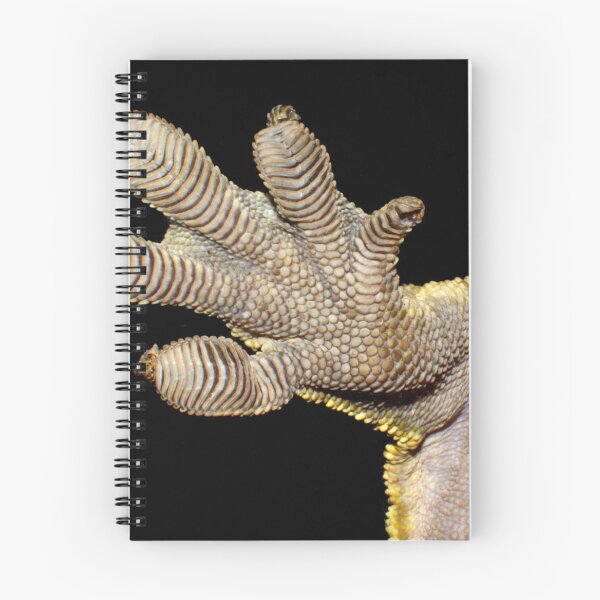 Item preview, Crested Gecko Foot designed and sold by YussefRafik.